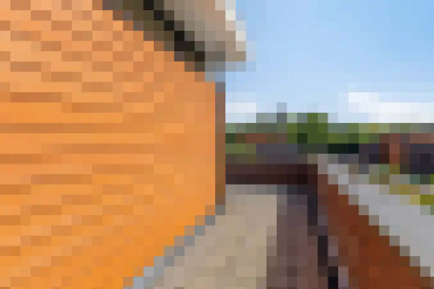 Kastanjehof 7 Velp thumbnail 40