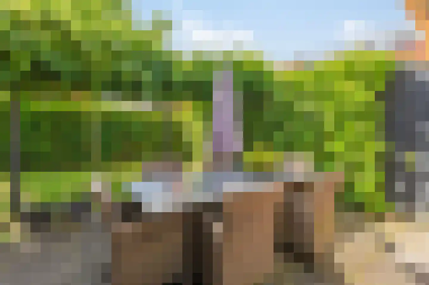 Kastanjehof 7 Velp thumbnail 45