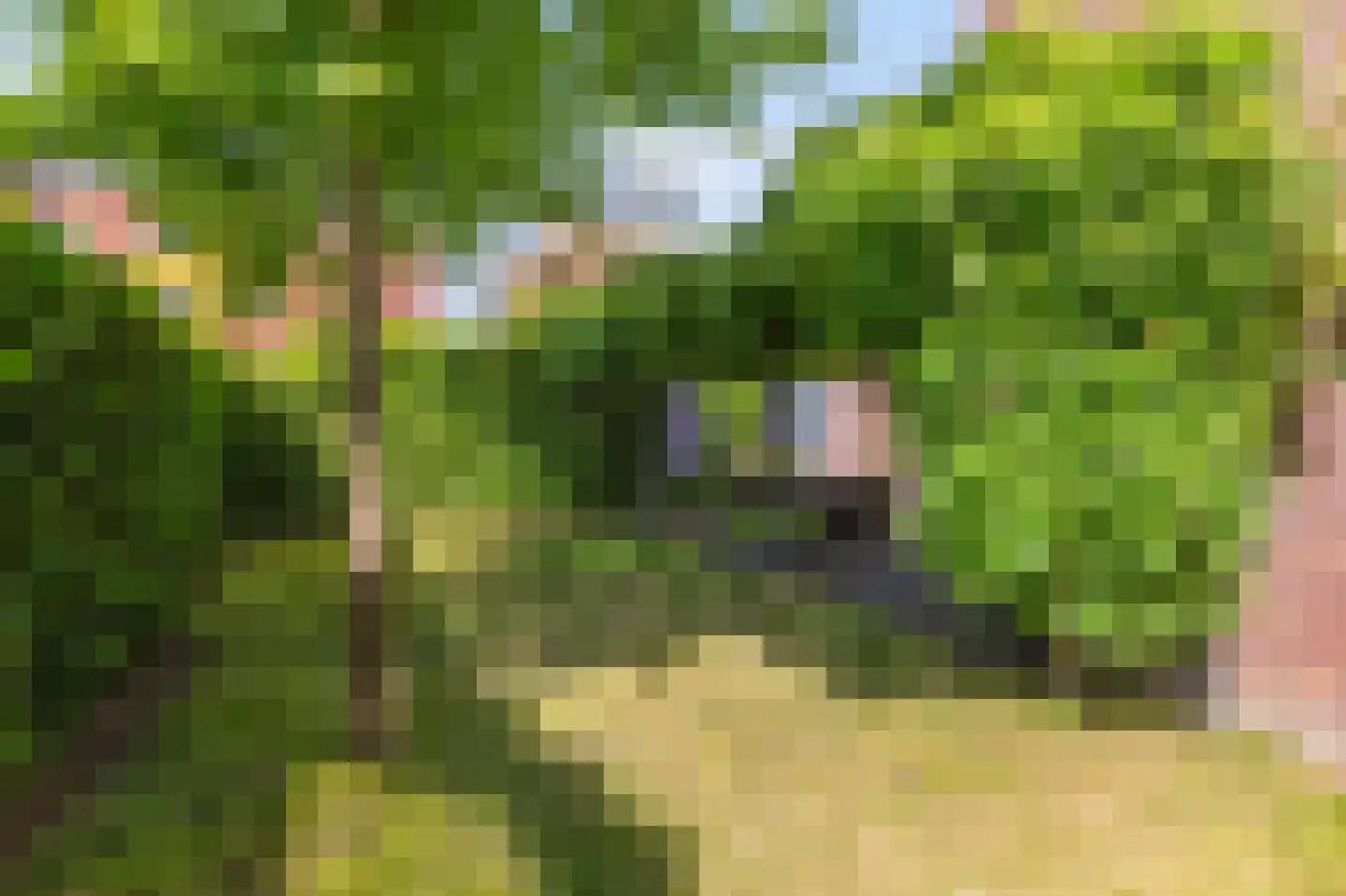 Kastanjehof 7 Velp thumbnail 46