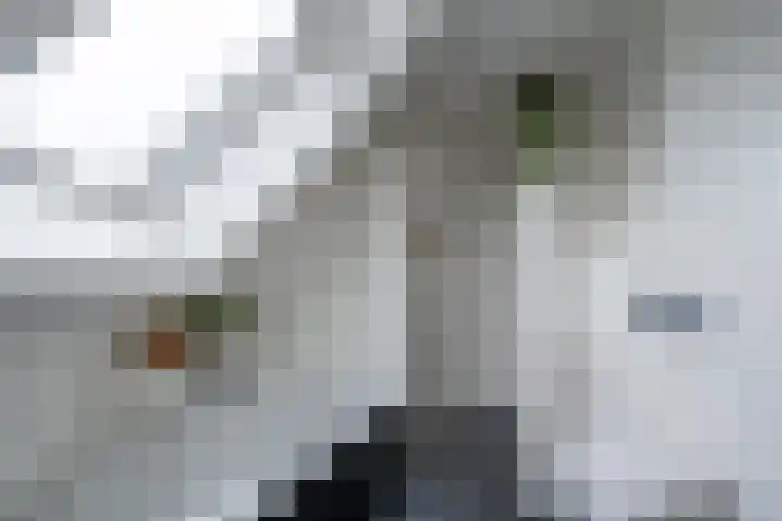 Kastanjehof 9 Meerkerk thumbnail 19