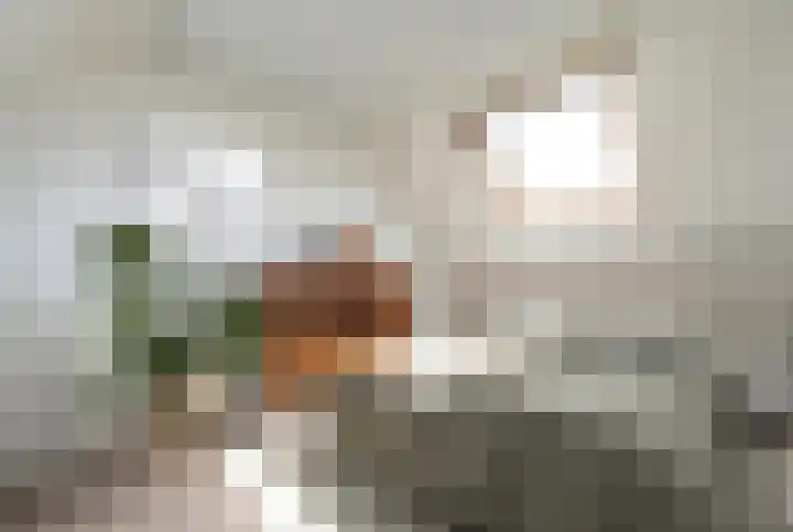 Kastanjehof 9 Meerkerk thumbnail 21