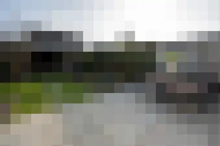 Kastanjehof 9 Meerkerk thumbnail 22