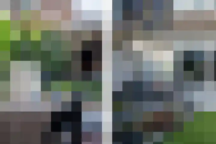 Kastanjehof 9 Meerkerk thumbnail 25