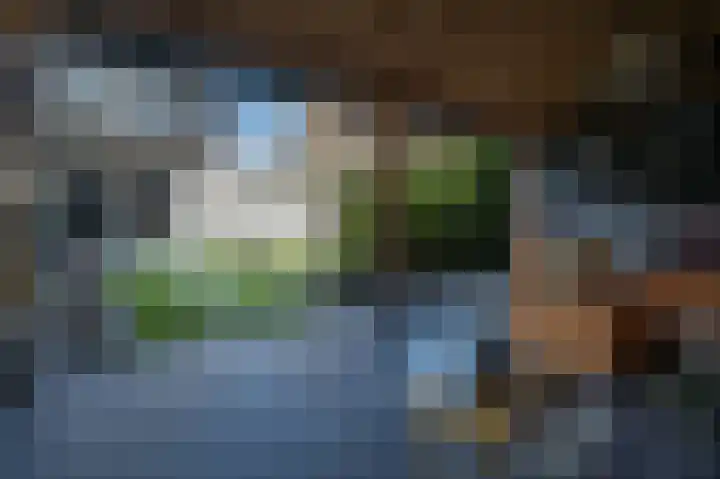 Kastanjehof 9 Meerkerk thumbnail 26