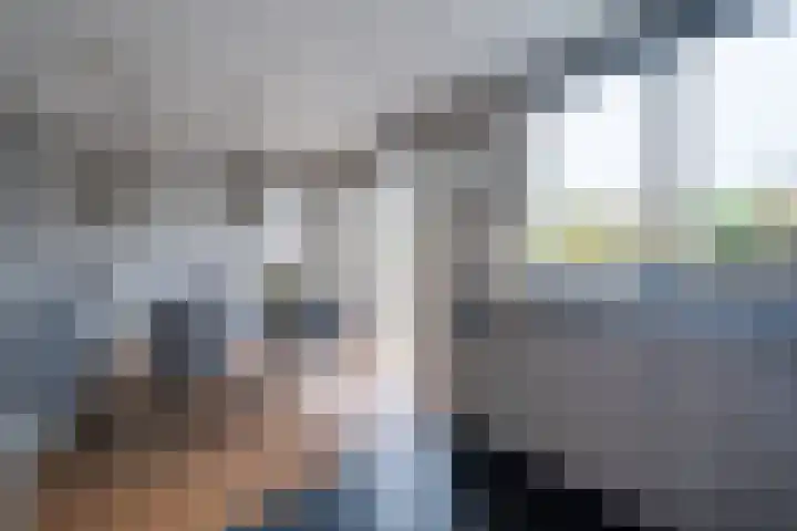Kastanjehof 9 Meerkerk thumbnail 5