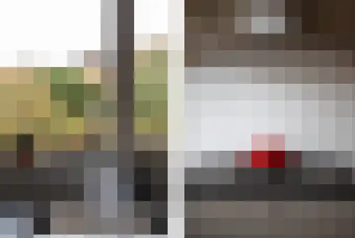 Kastanjehof 9 Meerkerk thumbnail 6