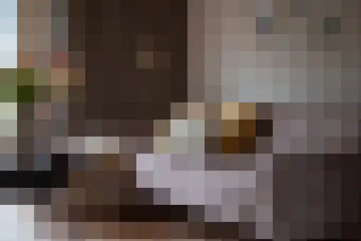 Kastanjehof 9 Meerkerk thumbnail 9