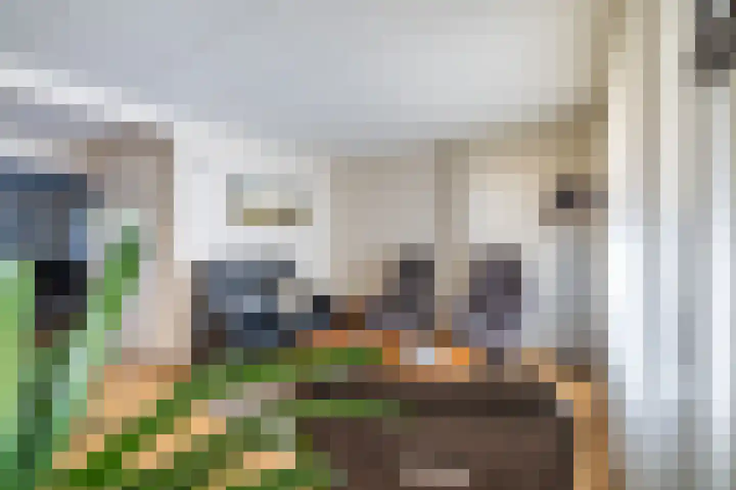 Kastanjehof 9 Winschoten thumbnail 16