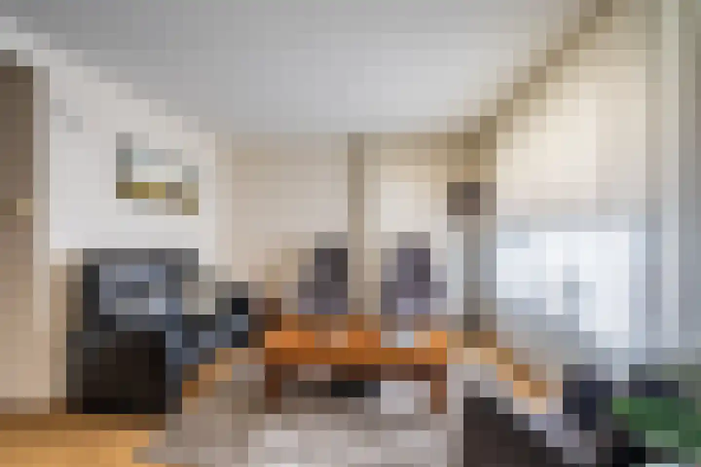 Kastanjehof 9 Winschoten thumbnail 17