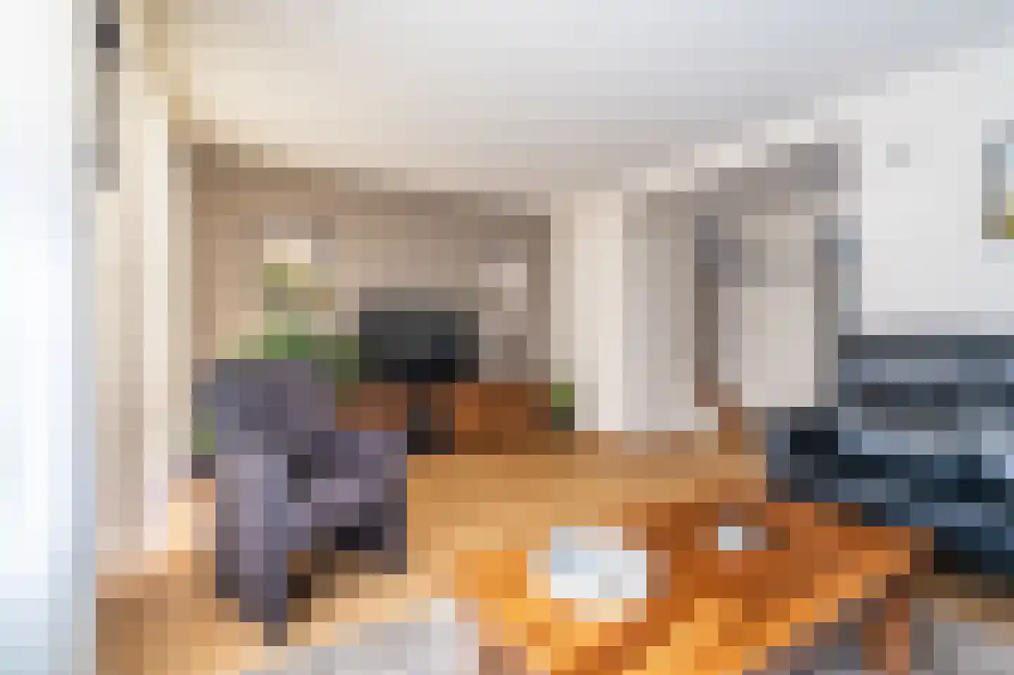 Kastanjehof 9 Winschoten thumbnail 18