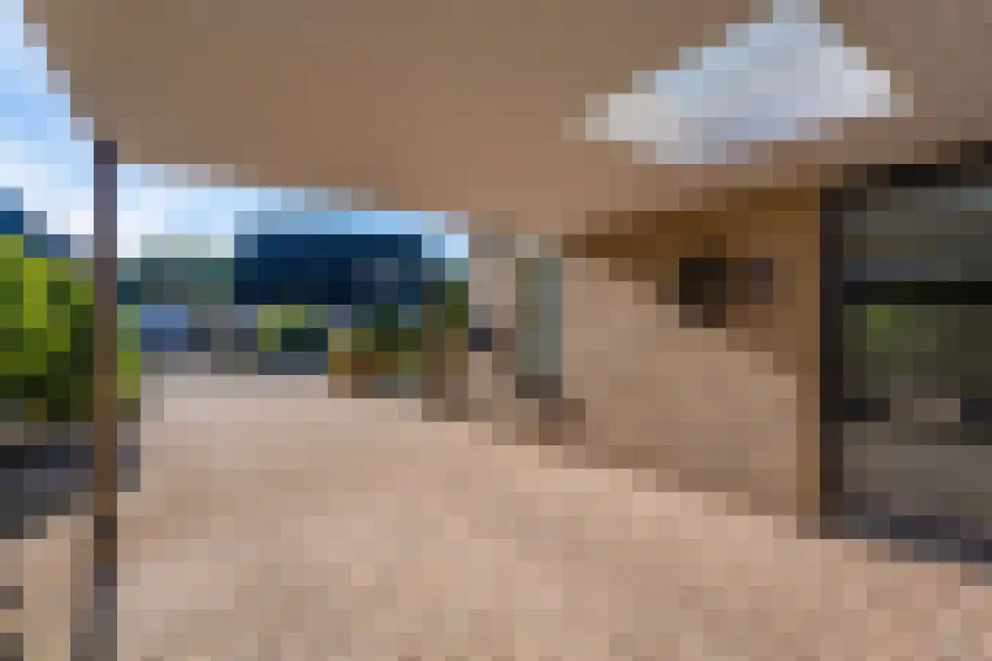 Kastanjehof 9 Winschoten thumbnail 8