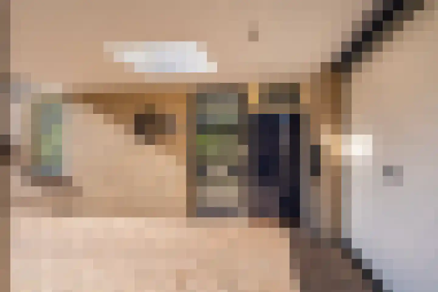 Kastanjehof 9 Winschoten thumbnail 9