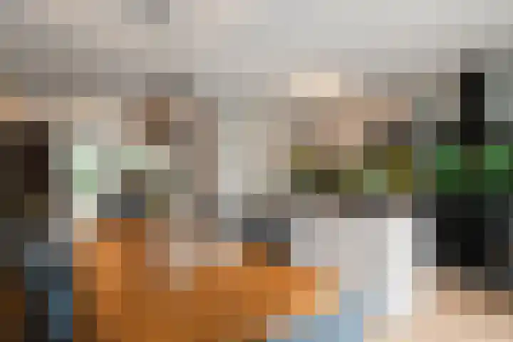 Kastanjehout 1 Julianadorp thumbnail 10