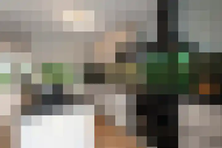 Kastanjehout 1 Julianadorp thumbnail 11