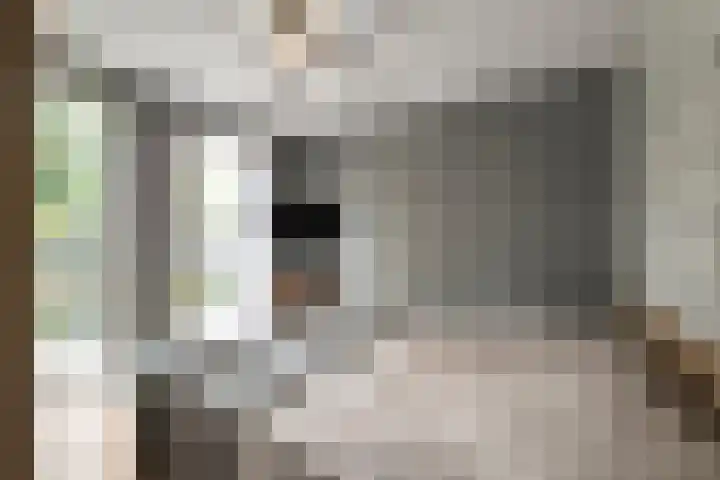 Kastanjehout 1 Julianadorp thumbnail 14