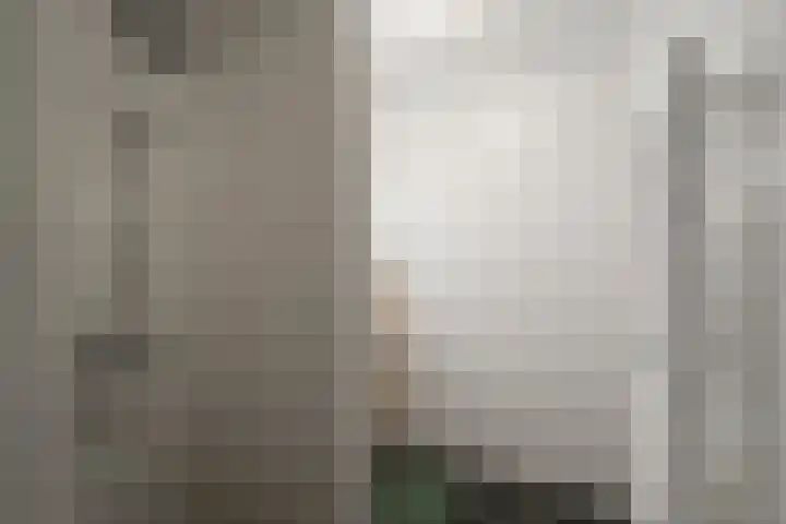 Kastanjehout 1 Julianadorp thumbnail 16