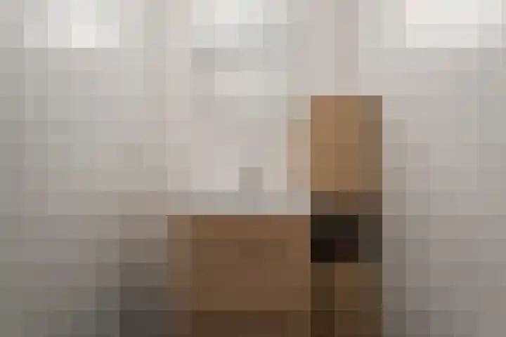 Kastanjehout 1 Julianadorp thumbnail 17