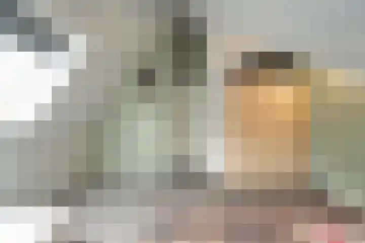 Kastanjehout 1 Julianadorp thumbnail 21
