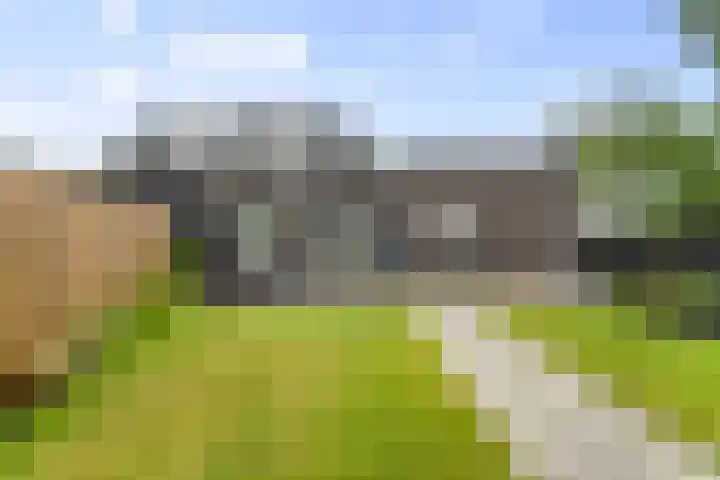 Kastanjehout 1 Julianadorp thumbnail 22