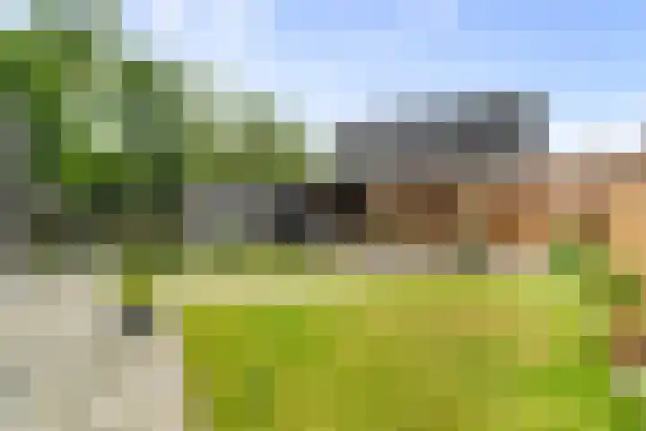 Kastanjehout 1 Julianadorp thumbnail 23