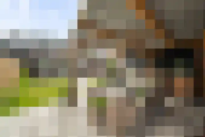 Kastanjehout 1 Julianadorp thumbnail 24