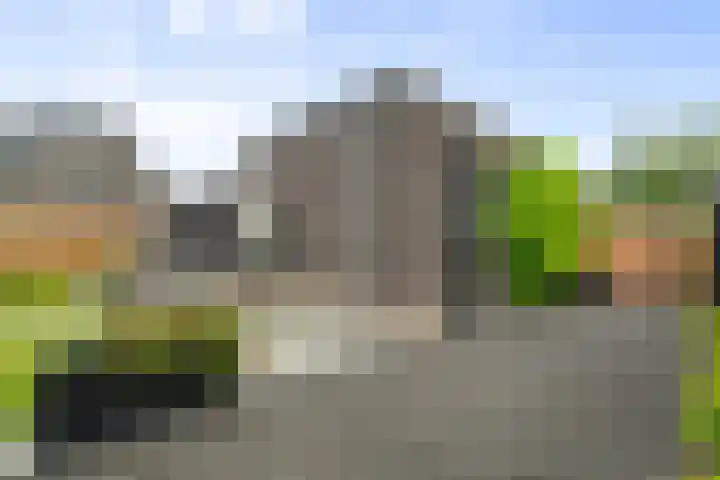 Kastanjehout 1 Julianadorp thumbnail 25
