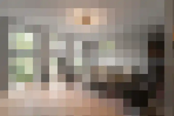 Kastanjehout 1 Julianadorp thumbnail 5