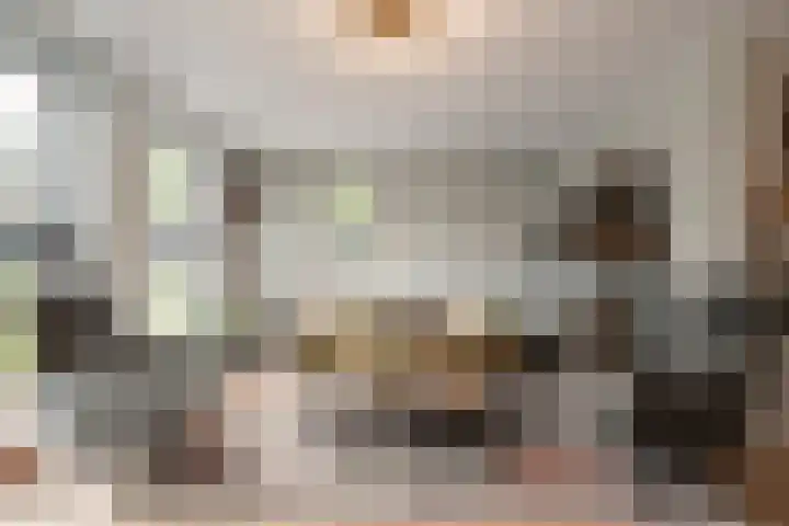 Kastanjehout 1 Julianadorp thumbnail 6
