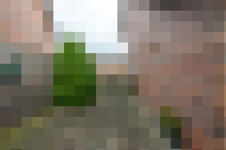 Kastanjehout 12 Houten thumbnail 16