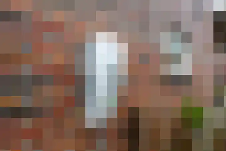 Kastanjehout 12 Houten thumbnail 28