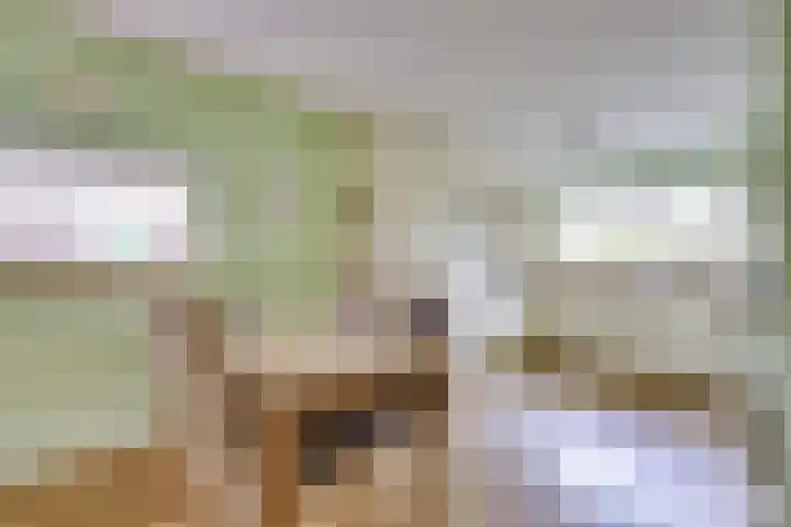 Kastanjehout 12 Houten thumbnail 7