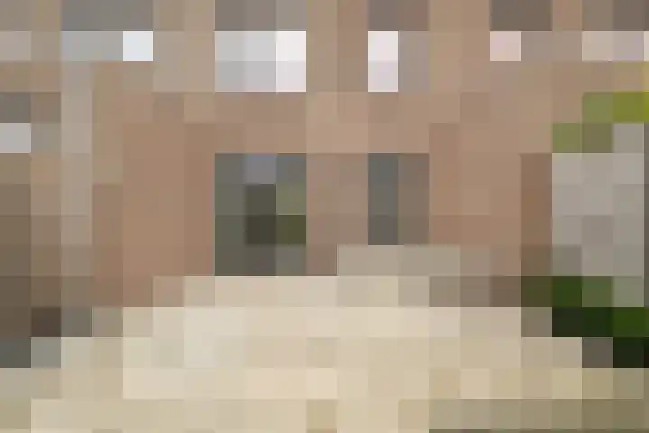 Kastanjehout 15 B Julianadorp thumbnail 16