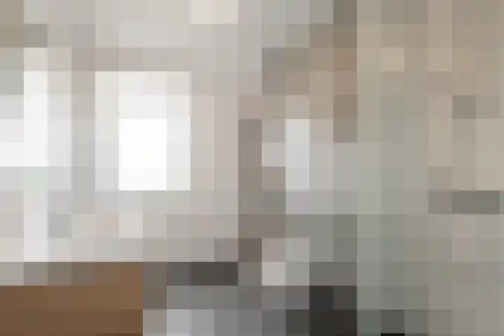Kastanjehout 15 B Julianadorp thumbnail 4