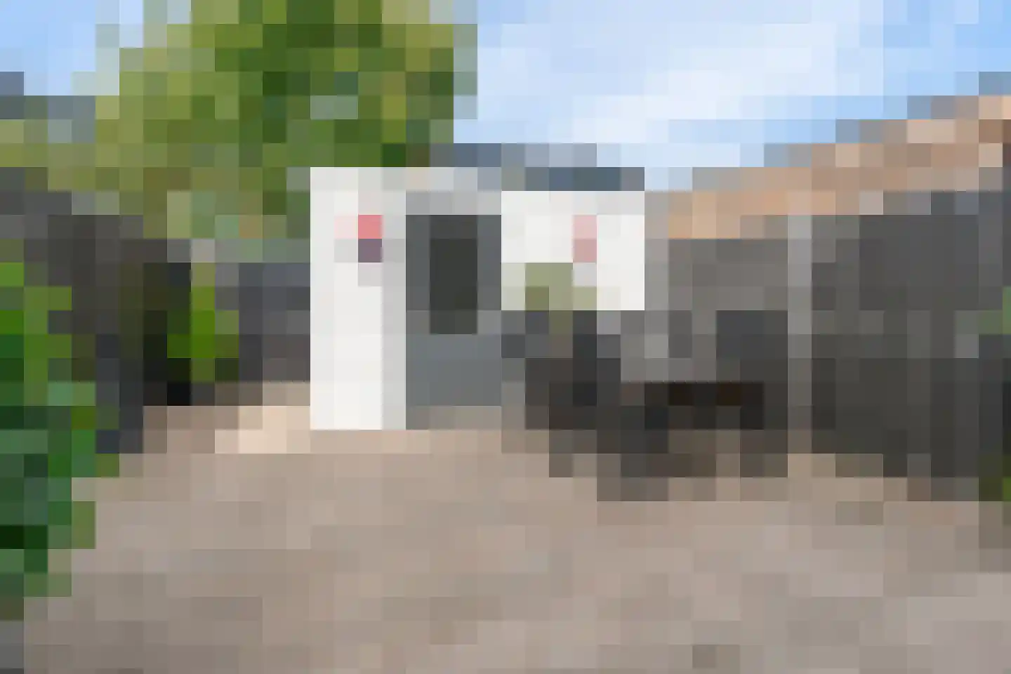 Kastanjehout 21 Houten thumbnail 16