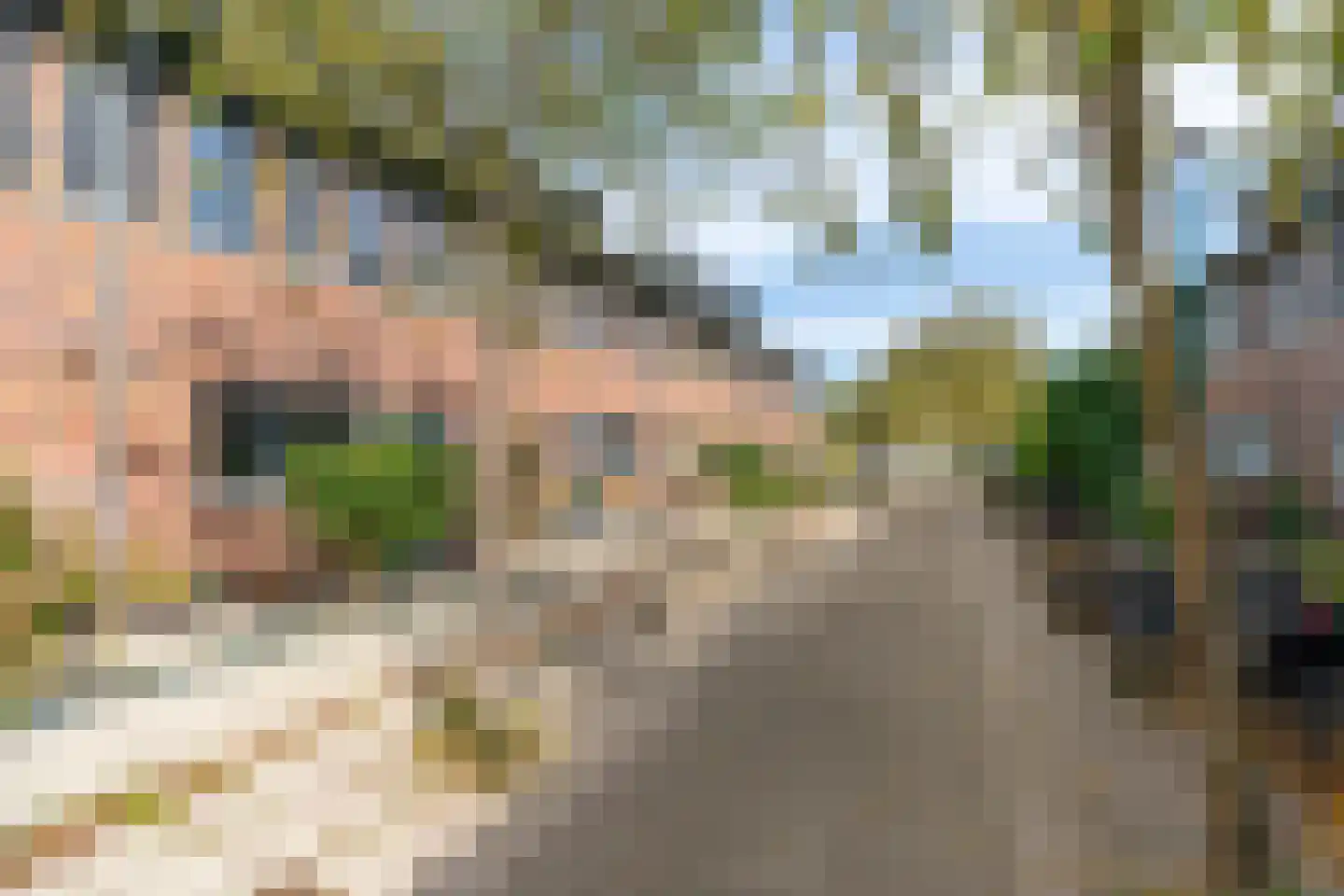 Kastanjehout 21 Houten thumbnail 31