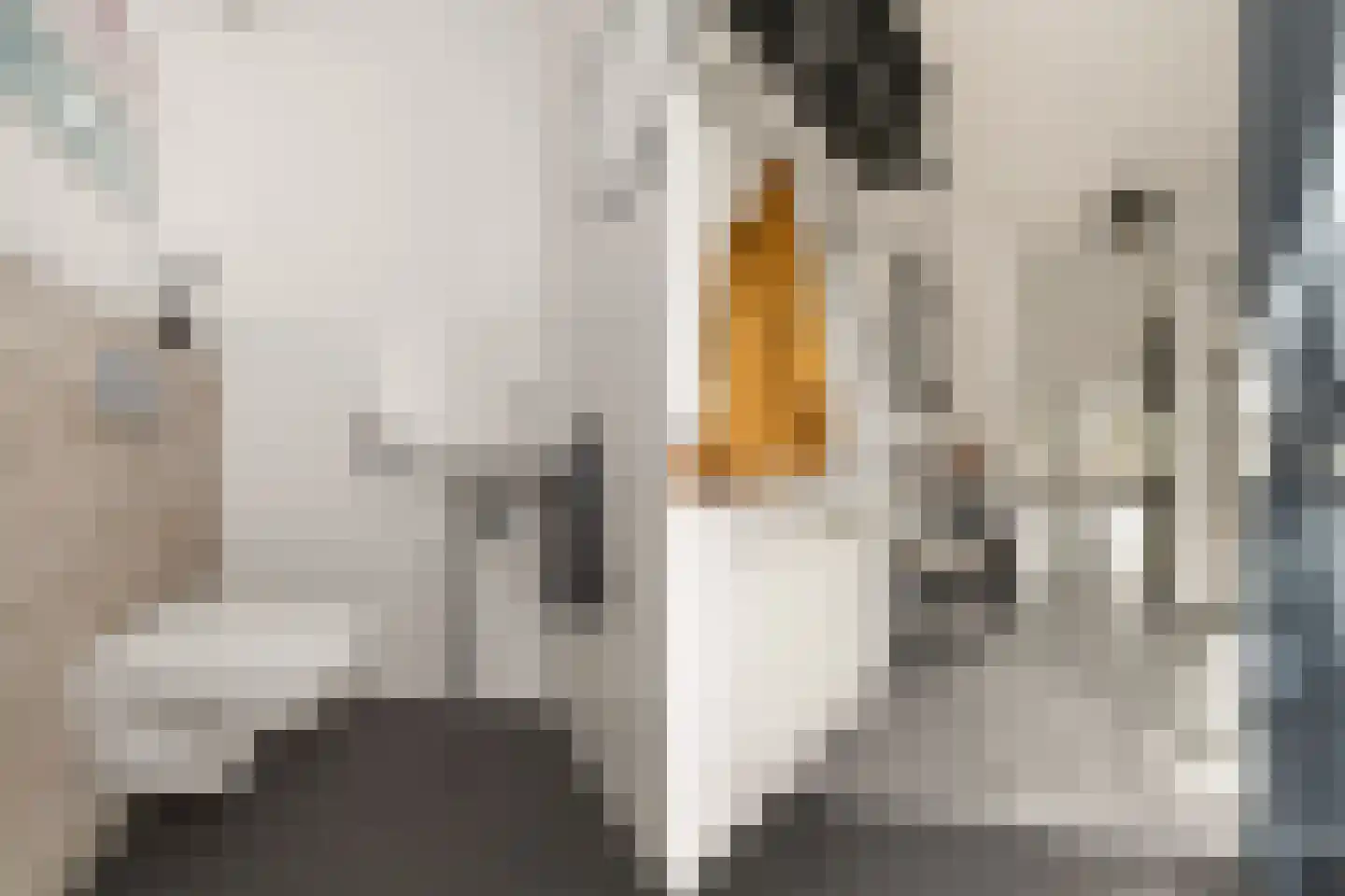 Kastanjehout 21 Houten thumbnail 4