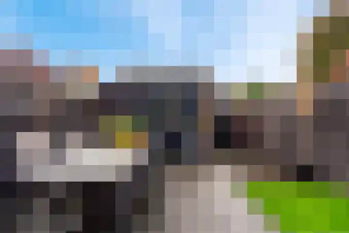 Kastanjehout 26 Houten thumbnail 14