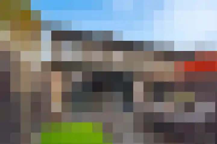 Kastanjehout 26 Houten thumbnail 15