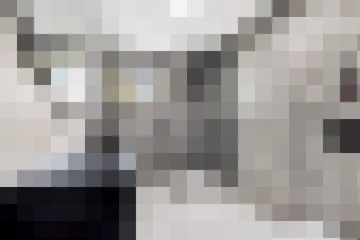 Kastanjehout 26 Houten thumbnail 23