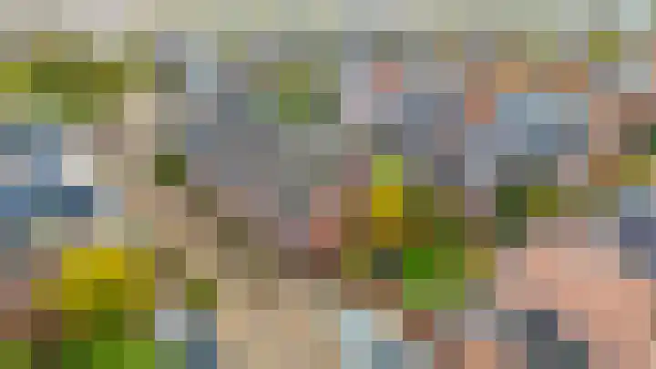 Kastanjehout 26 Houten thumbnail 29