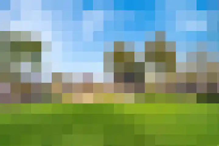 Kastanjehout 26 Houten thumbnail 30