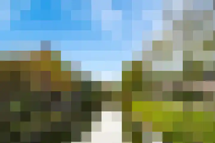 Kastanjehout 26 Houten thumbnail 31