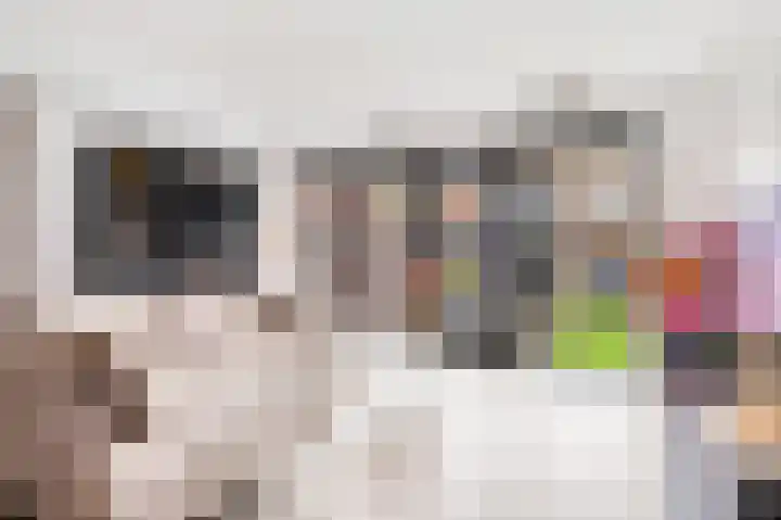 Kastanjehout 26 Houten thumbnail 5
