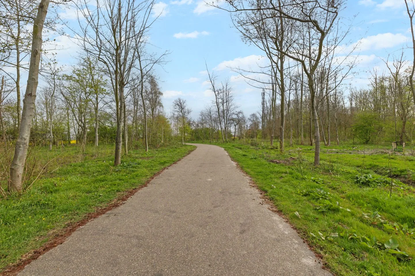 Kastanjehout 48 Julianadorp thumbnail 28