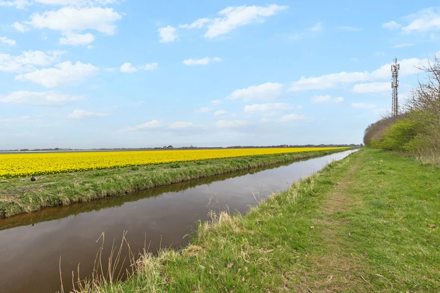 Kastanjehout 48 Julianadorp thumbnail 29