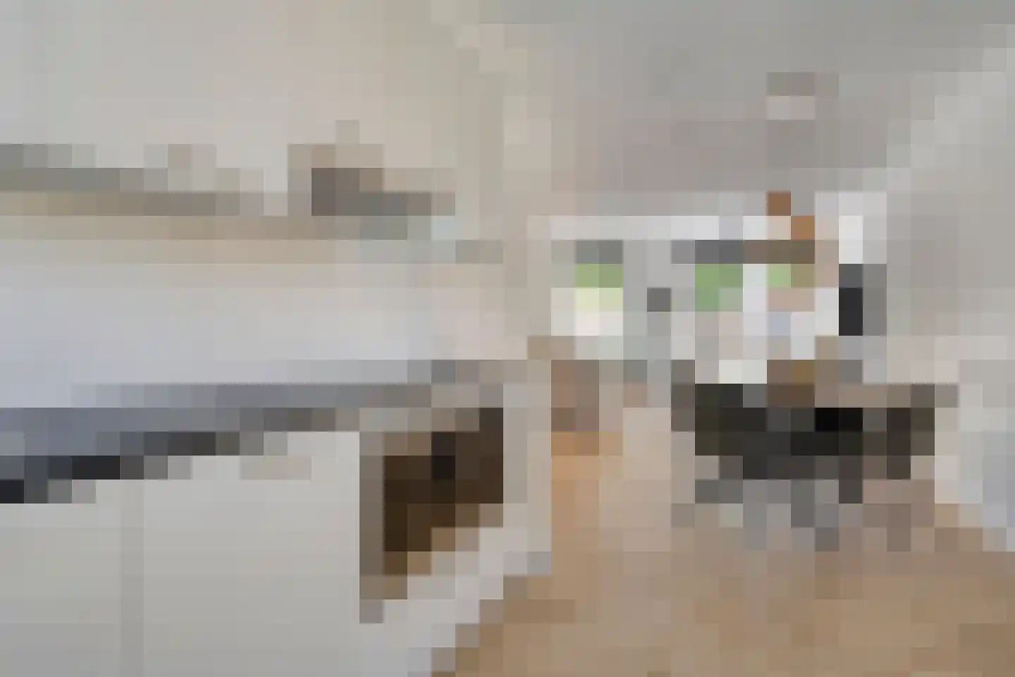 Kastanjehout 83 Julianadorp thumbnail 11