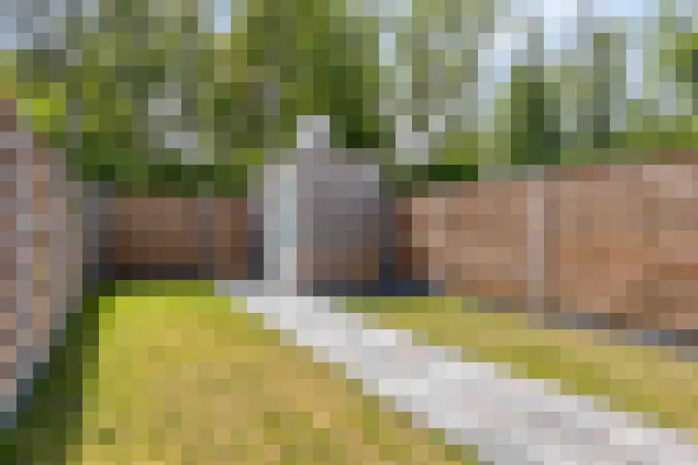 Kastanjehout 83 Julianadorp thumbnail 25