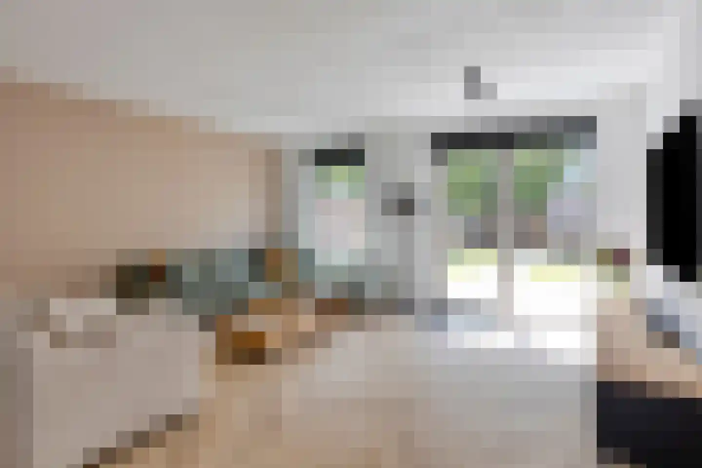 Kastanjehout 83 Julianadorp thumbnail 5