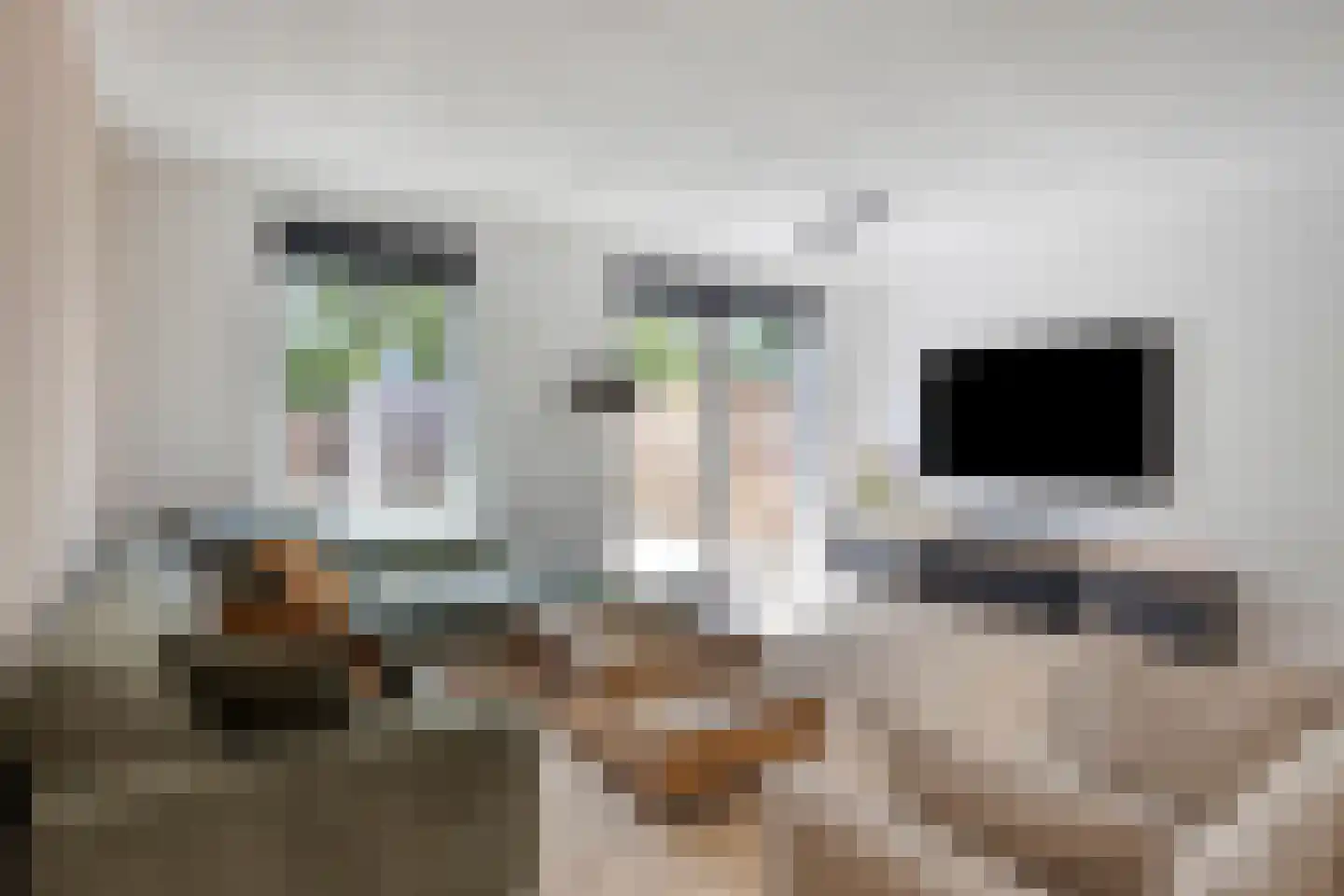 Kastanjehout 83 Julianadorp thumbnail 6
