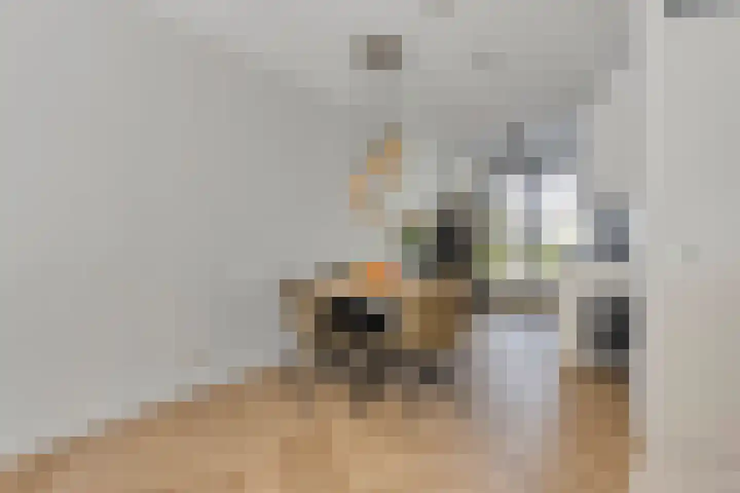 Kastanjehout 83 Julianadorp thumbnail 8